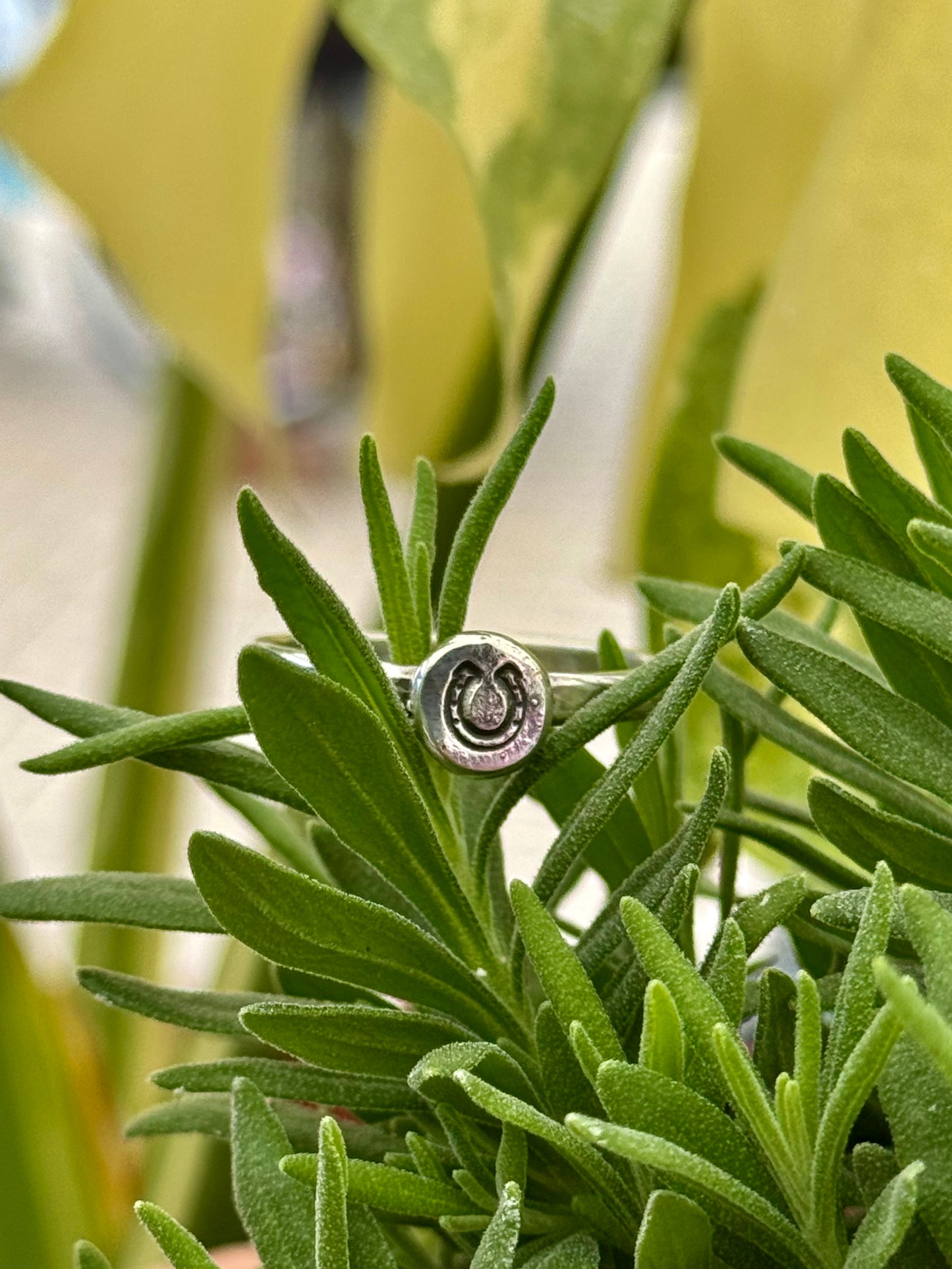 Good Luck Horseshoe Rings