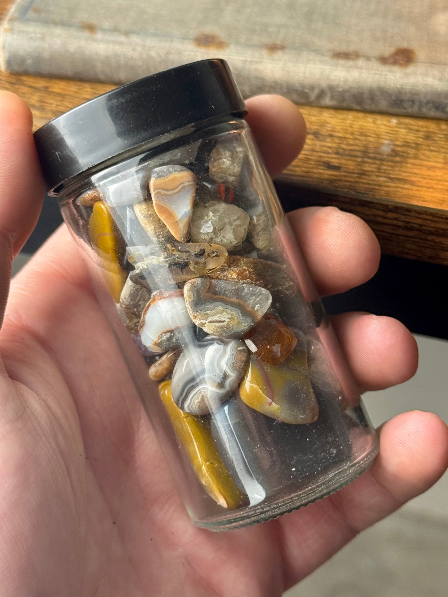Rock Collector Starter Kit