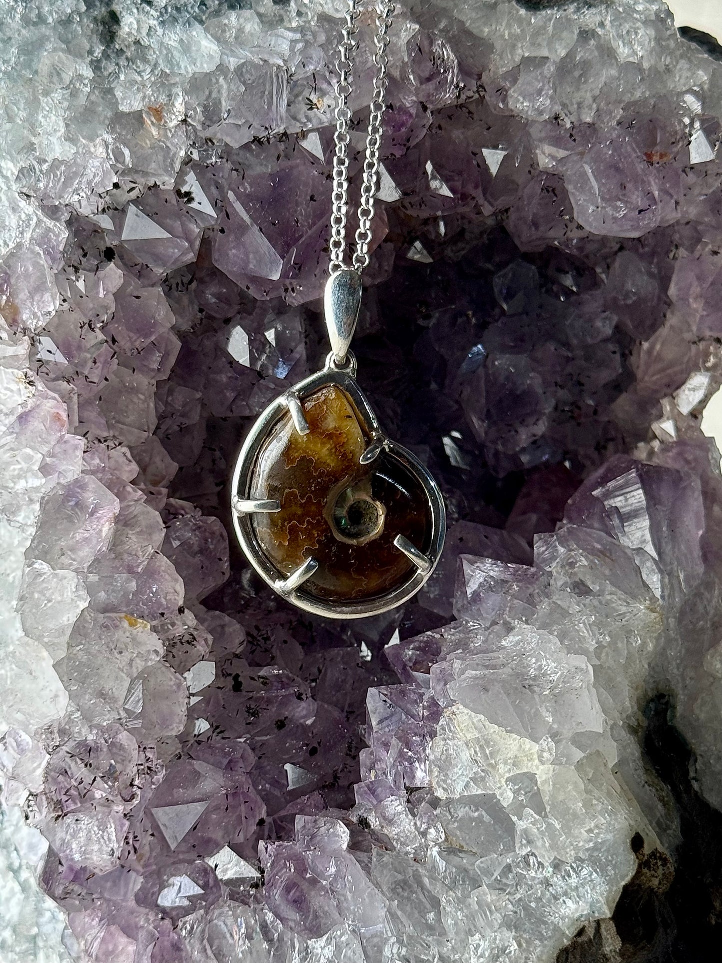 Ammonite Necklace