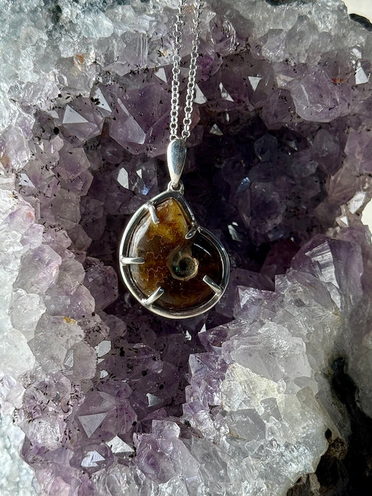 Ammonite Necklace