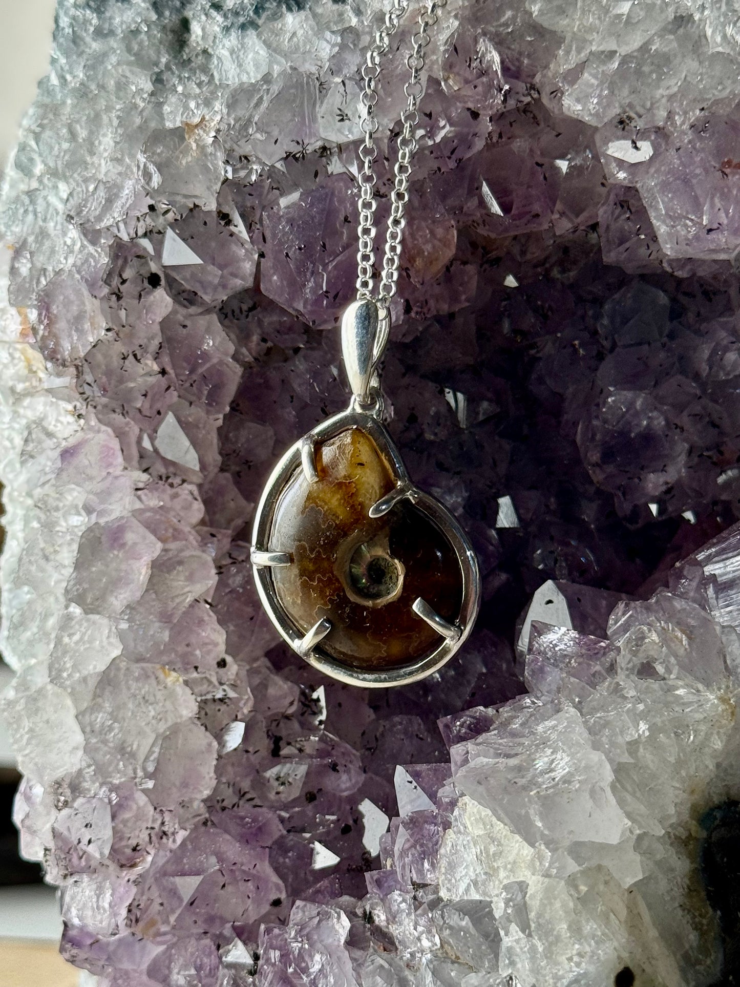 Ammonite Necklace