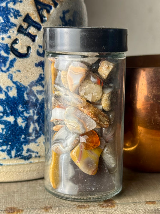 Rock Collector Starter Kit