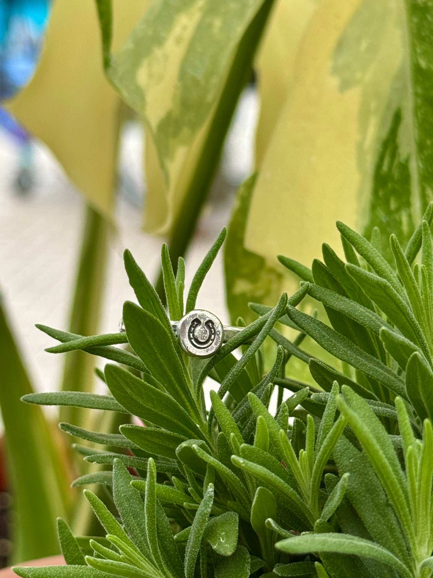 Good Luck Horseshoe Rings
