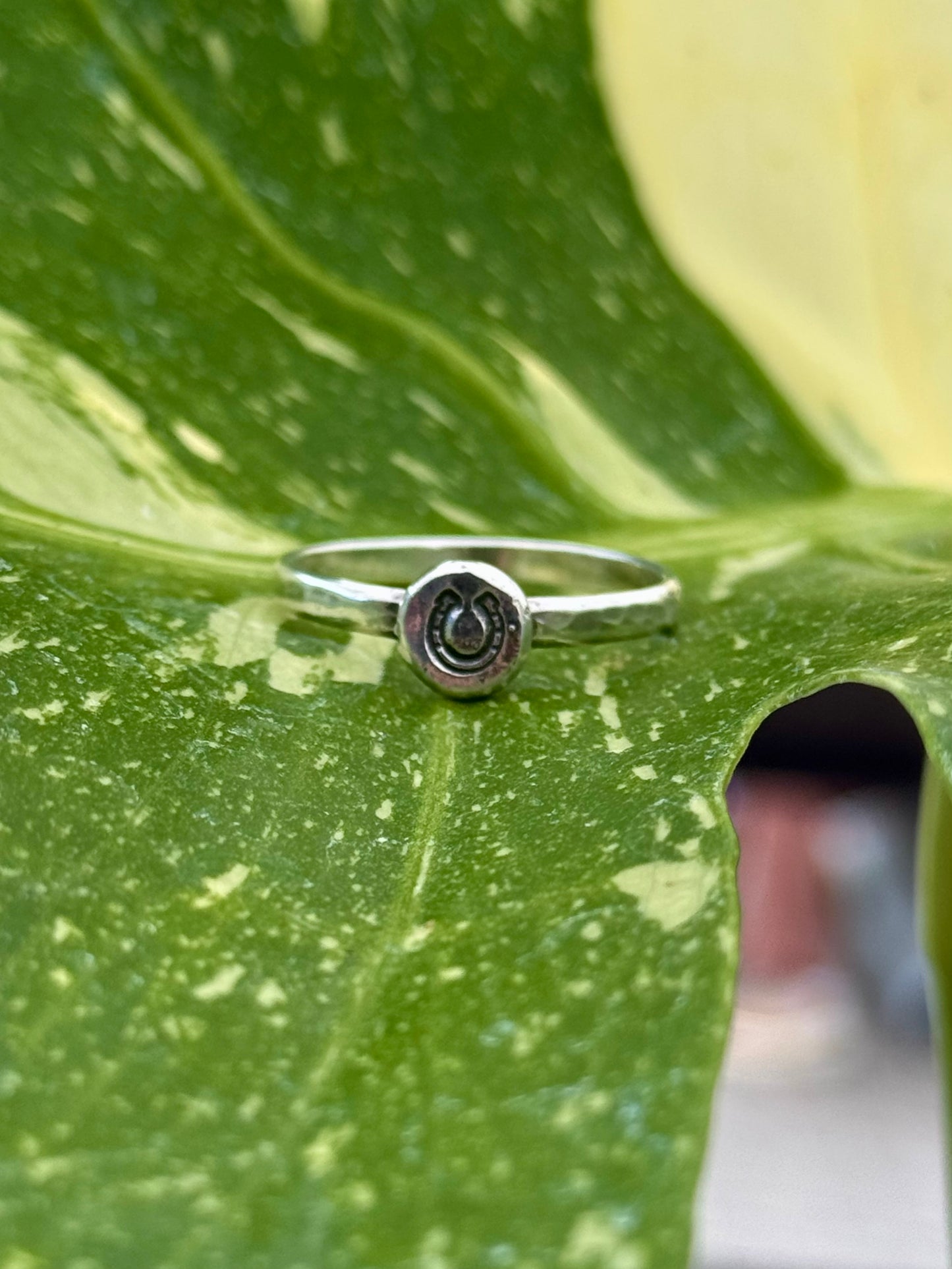 Good Luck Horseshoe Rings